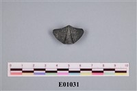 藏品(石燕及其他腕足動物)的圖片